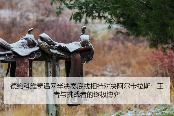 de-yue-ke-wei-qi-wen-wang-ban-jue-sai-di-xian-xiang-chi-dui-jue-a-er-ka-la-si-wang-zhe-yu-tiao-zhan-zhe-de-zhong-ji-bo-2-838.jpg